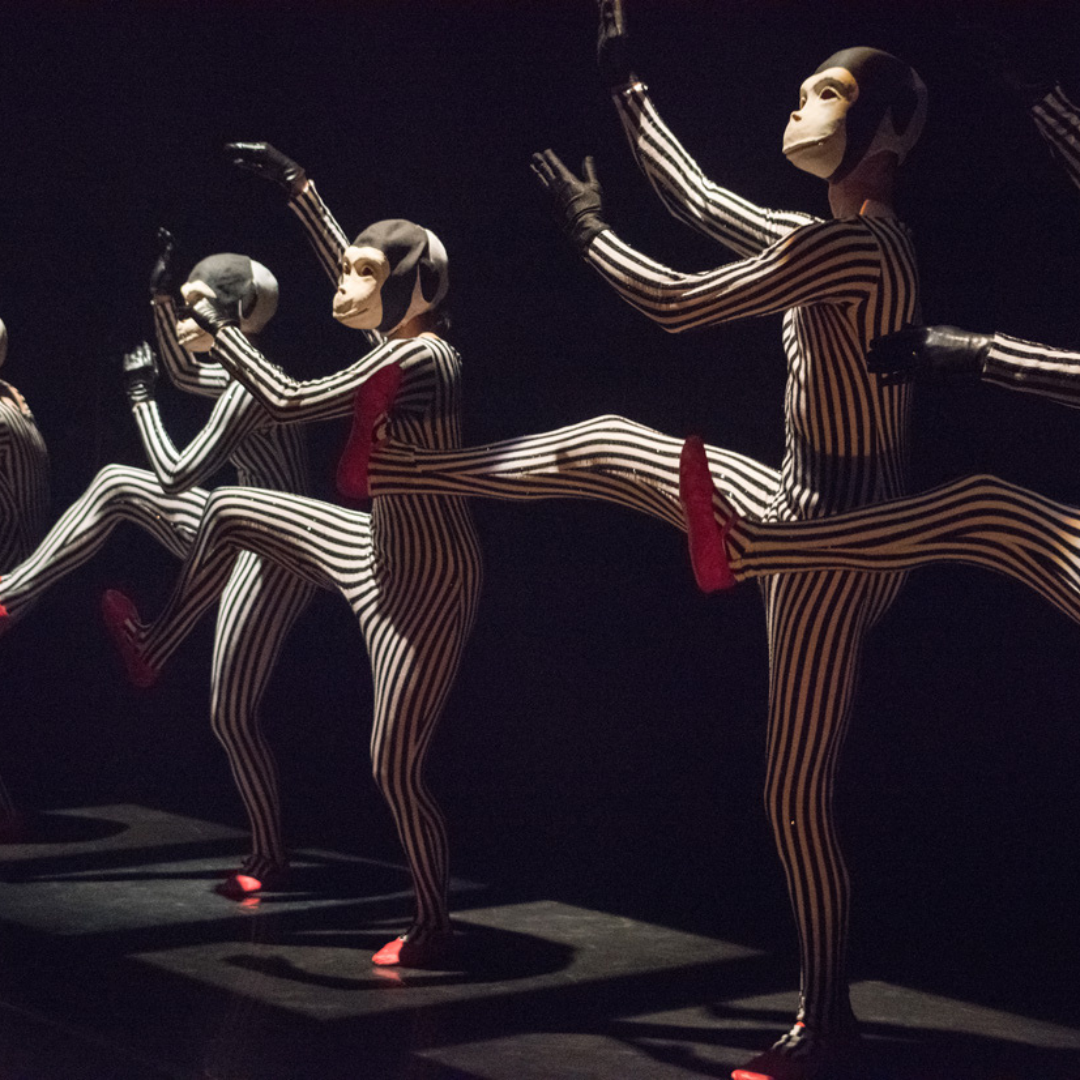 dancers in monkey masks dance, legs in the air